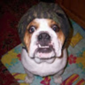 Meet your Posher, Marty